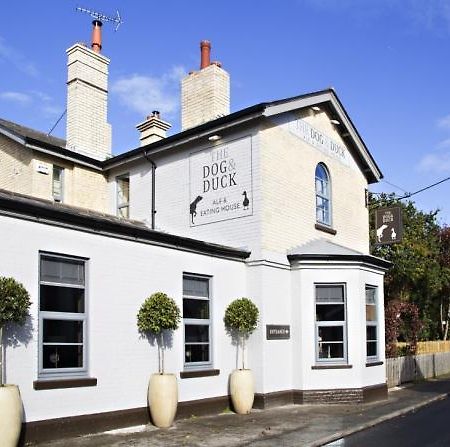 The Dog And Duck Suffolk Apartment Woodbridge Exterior photo